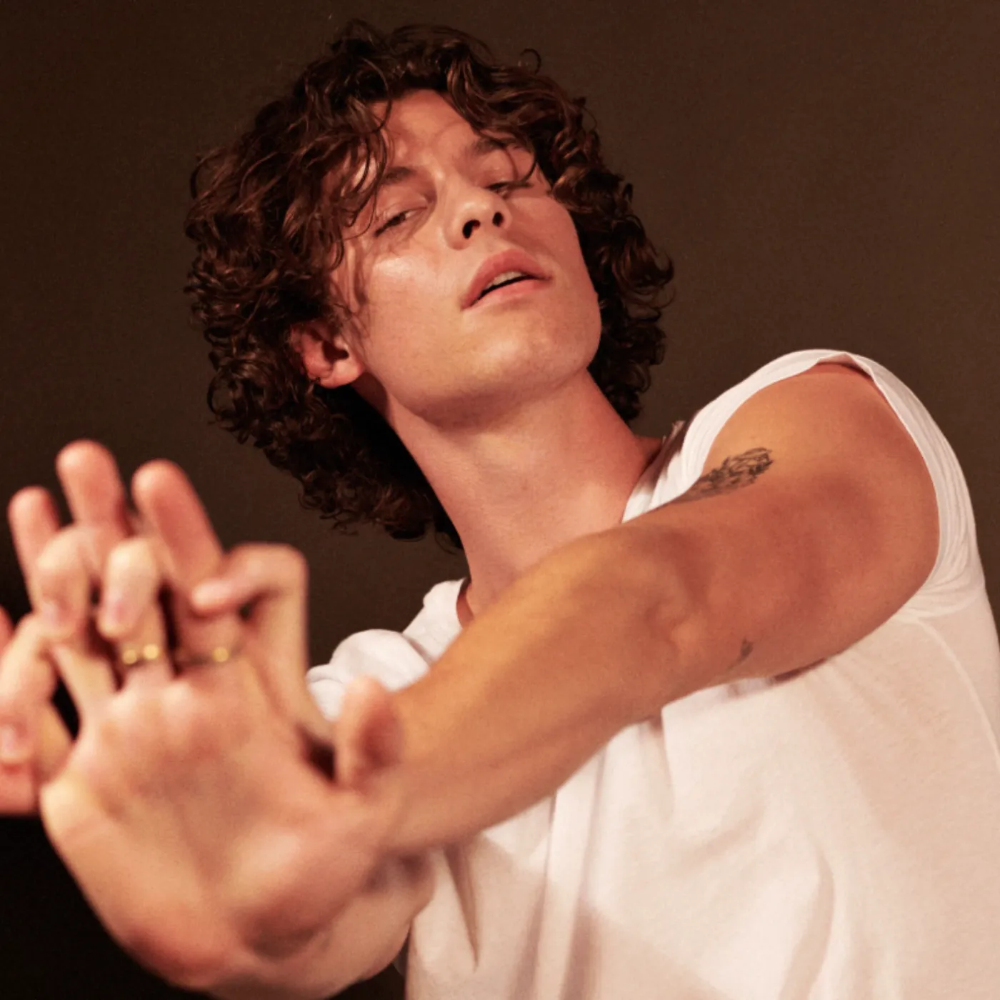 image_6930225f928cc Fans are extremely confused: Shawn Mendes was caught hanging around with a "mystery lover" during his vacation—is this the reason he has avoided responding to recent rumors?