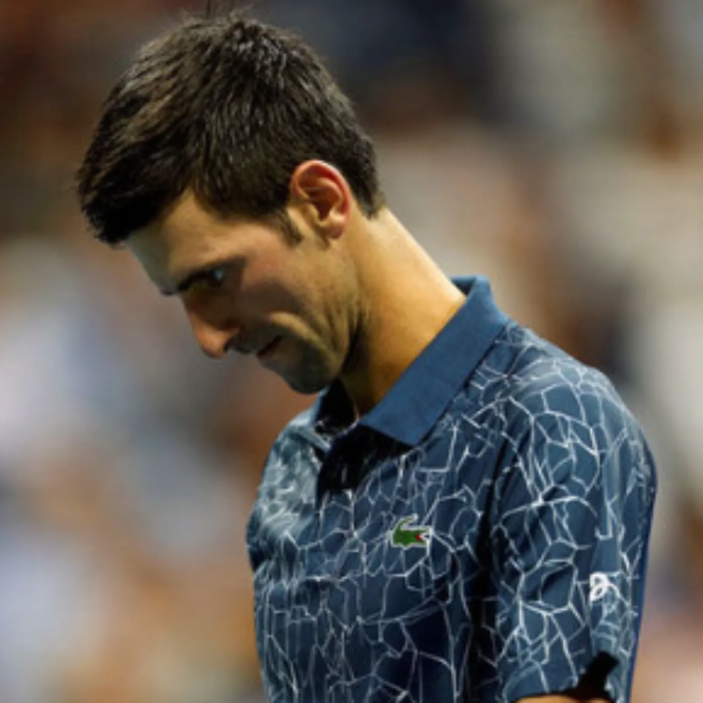 image_69435d719b791 "My Husband Is Having a Mysterious Relationship..." Novak Djokovic’s Wife Reveals Shocking Secret About the "FIGURE BEHIND" His Success